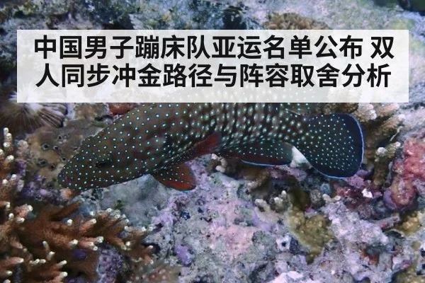 中国男子蹦床队亚运名单公布 双人同步冲金路径与阵容取舍分析